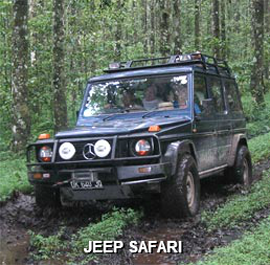 Jeep Safari